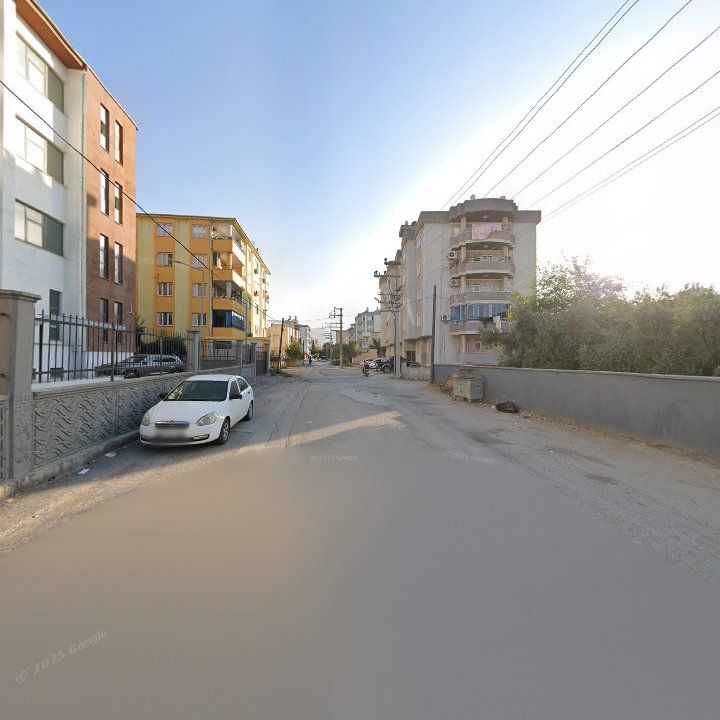 Fotoğraf 9