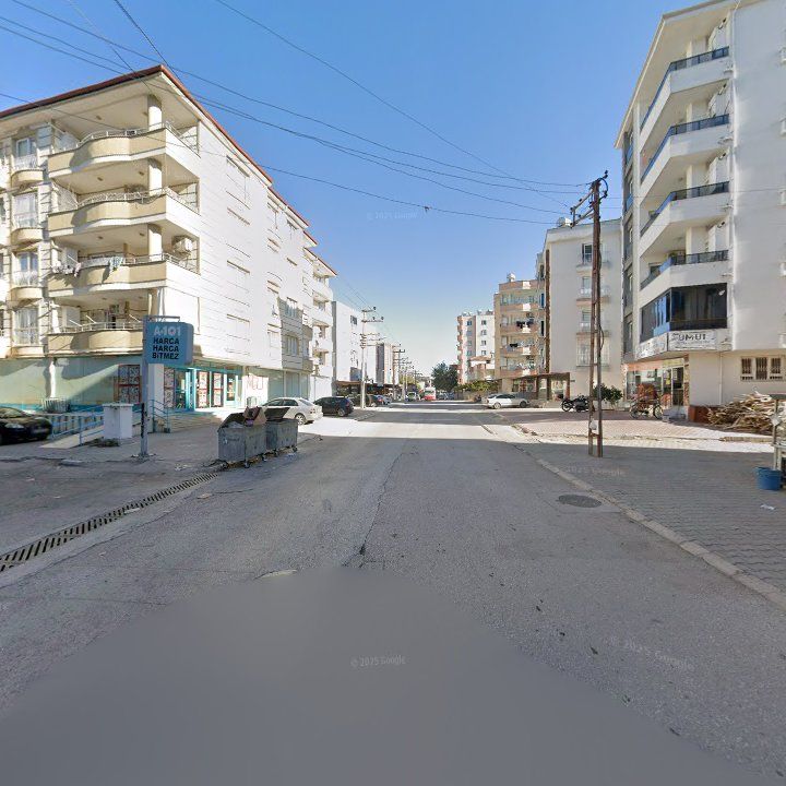 Fotoğraf 10