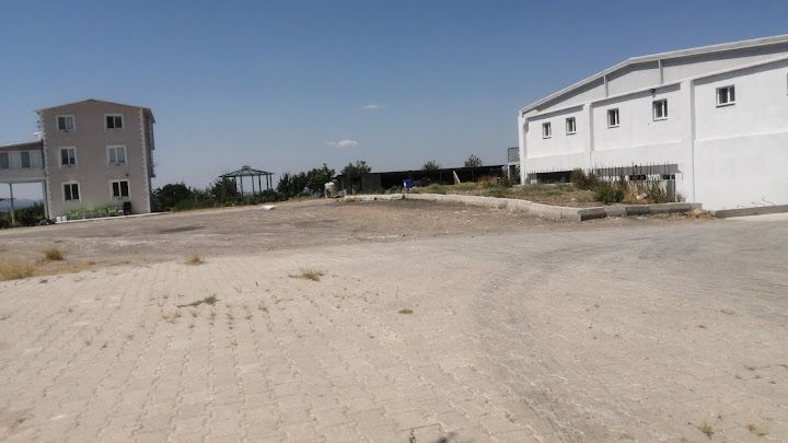 Özkan Tavuk Çiflikleri