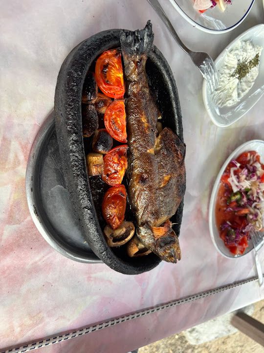 Özkardeşler Canlı Alabalık