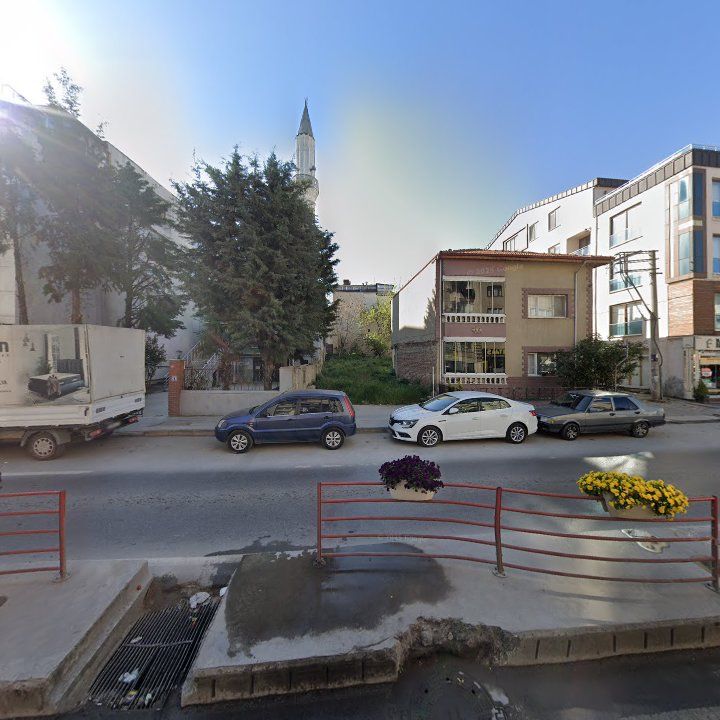 Fotoğraf 7