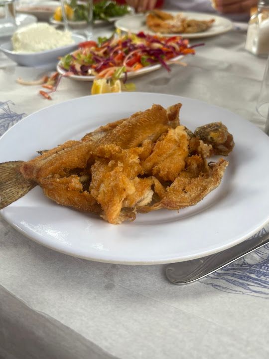 Özyurt Alabalık