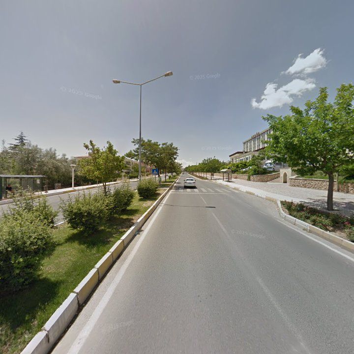 Fotoğraf 11