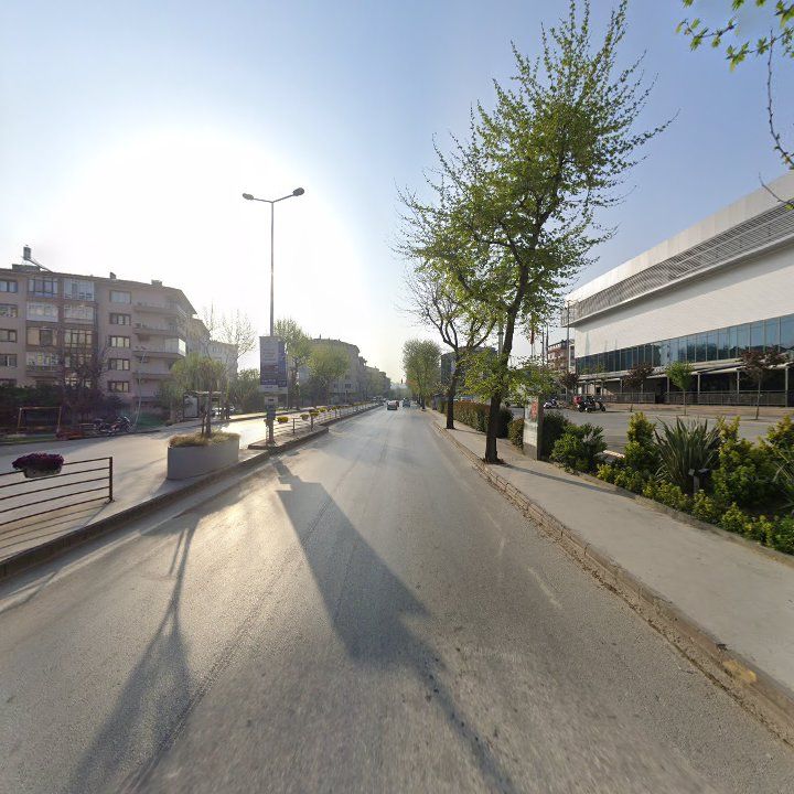 Fotoğraf 8