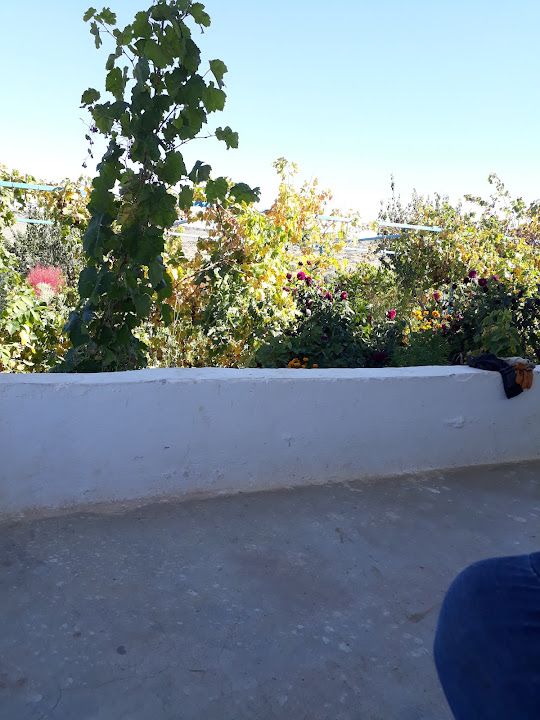 Paşa Bağ Evi
