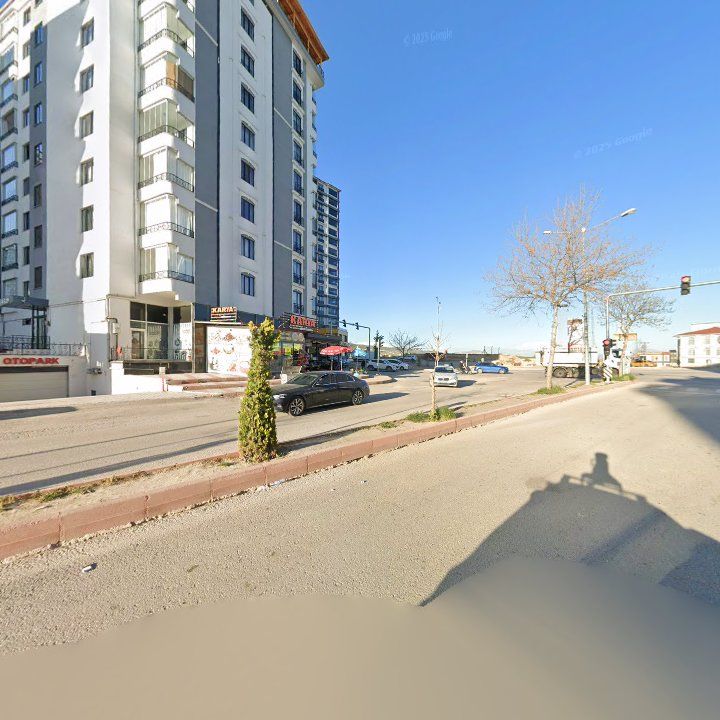 Fotoğraf 10