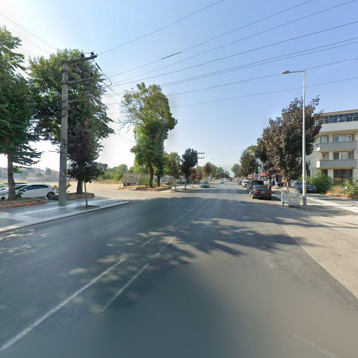 Fotoğraf 10
