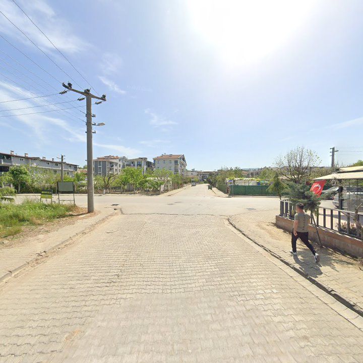 Fotoğraf 10