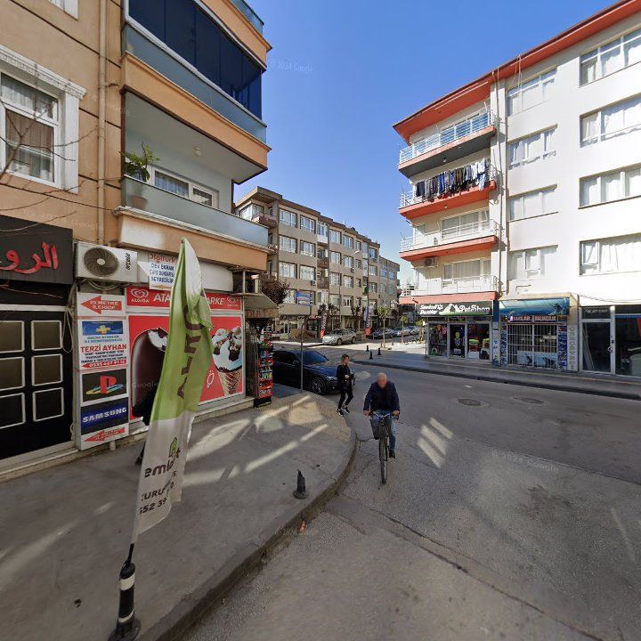 Fotoğraf 8