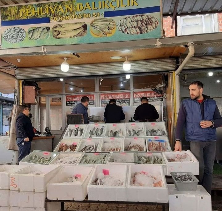 PEHLİVAN BALIKÇILIK