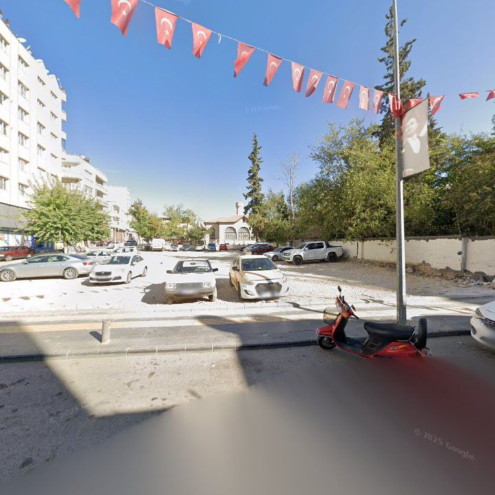 Fotoğraf 4