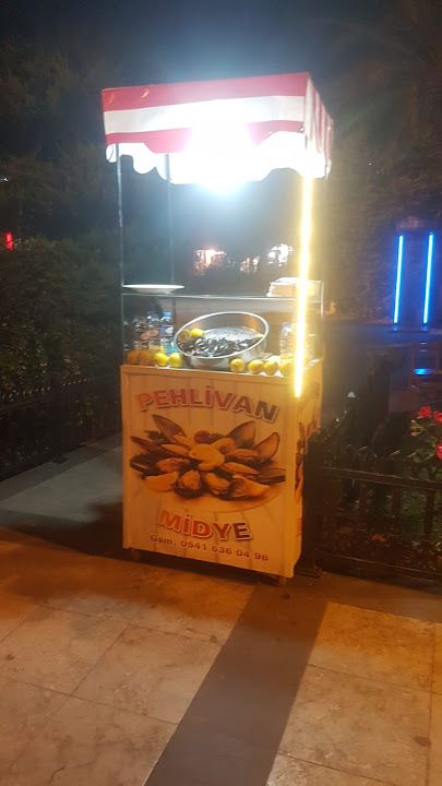 Fotoğraf 3