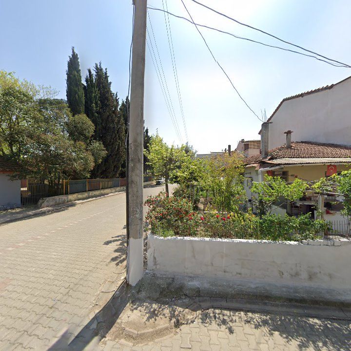 Fotoğraf 3
