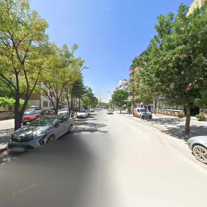 Fotoğraf 12