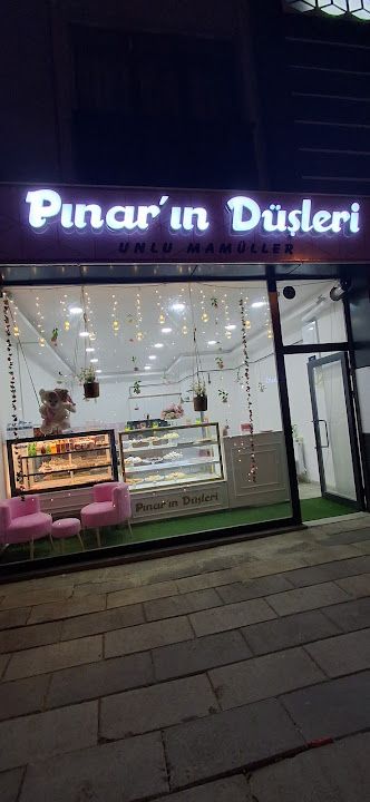 Pınarın Düşleri