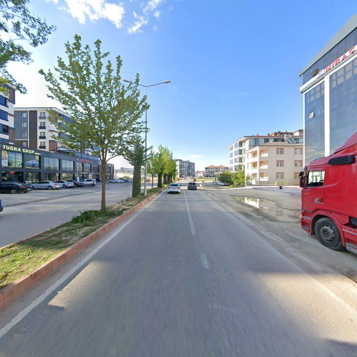 Fotoğraf 8