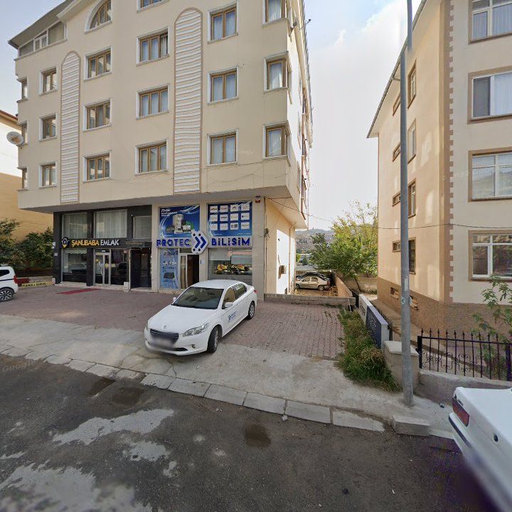 Fotoğraf 12