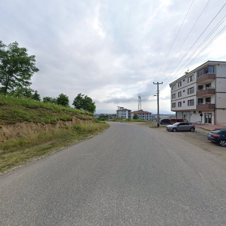 Fotoğraf 9