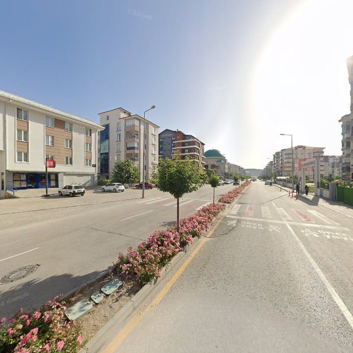 Fotoğraf 5