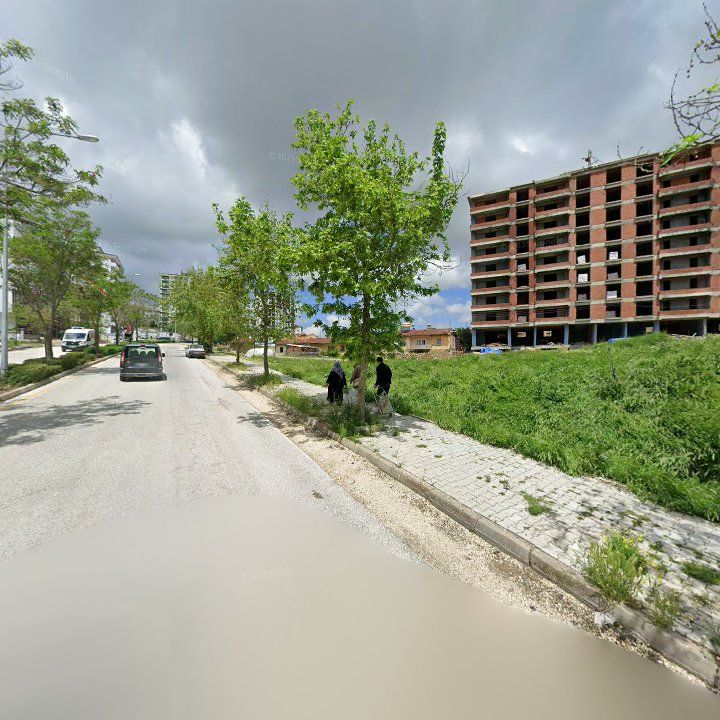 Fotoğraf 8