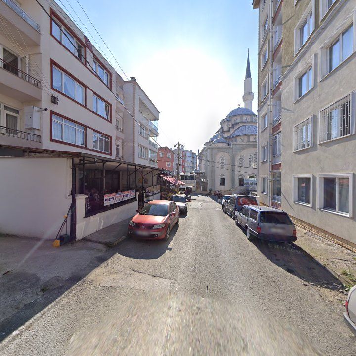 Fotoğraf 3