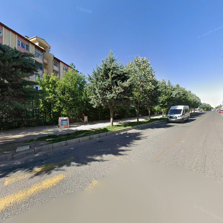 Fotoğraf 11