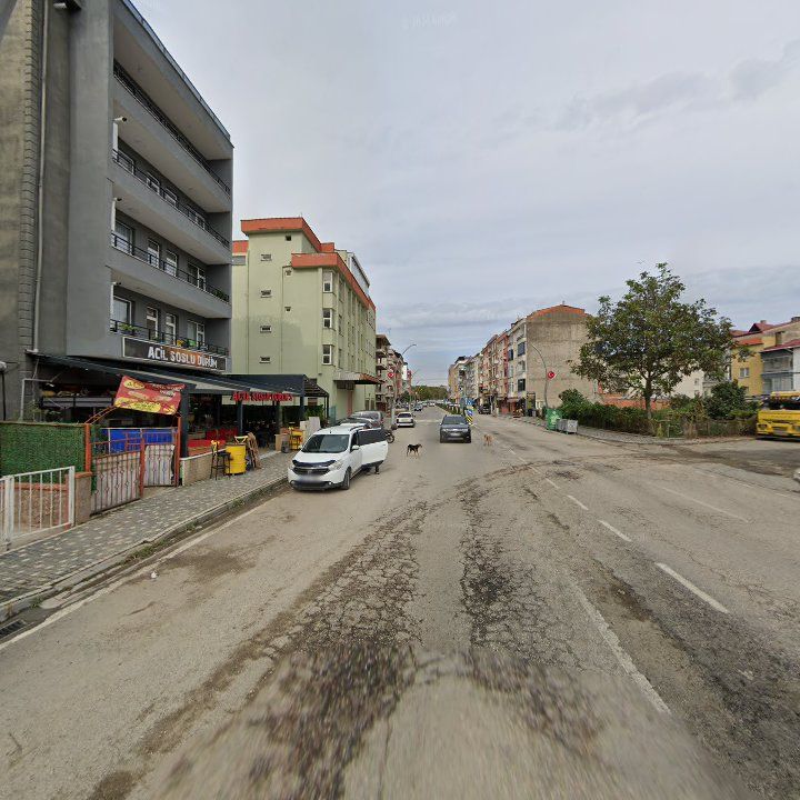 Fotoğraf 3