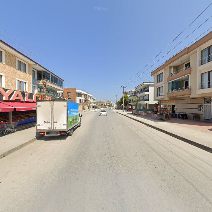 Fotoğraf 10