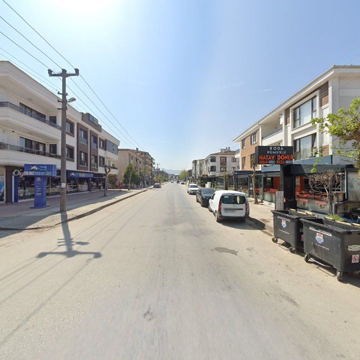 Fotoğraf 12