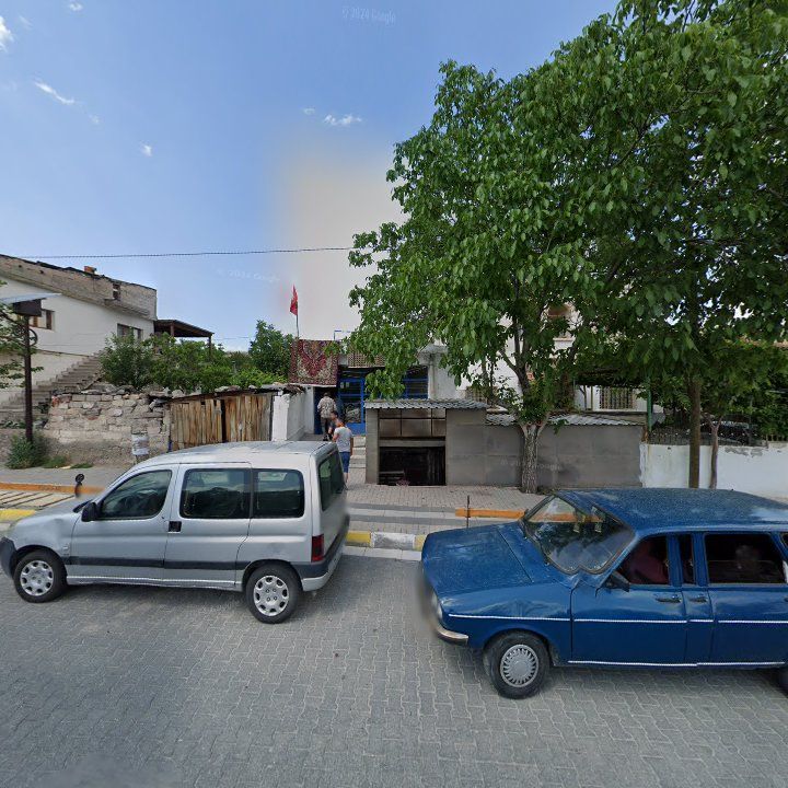 Fotoğraf 10