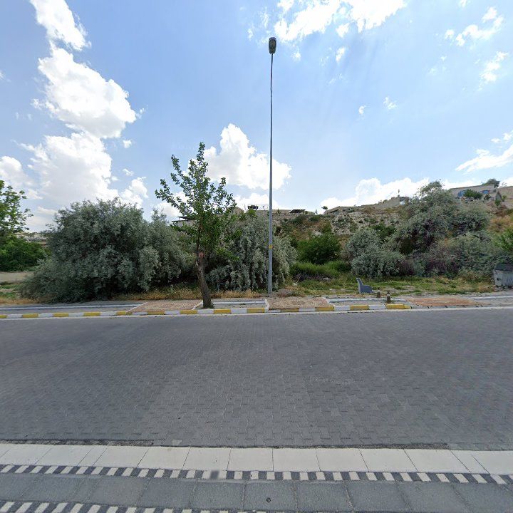 Fotoğraf 12
