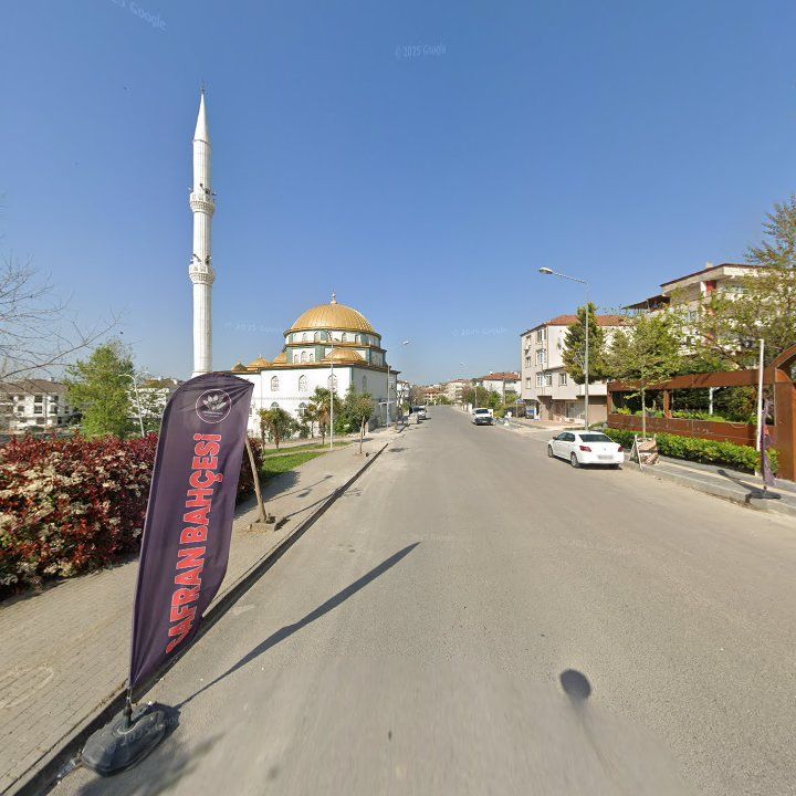 Fotoğraf 10