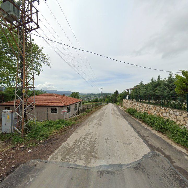Fotoğraf 11