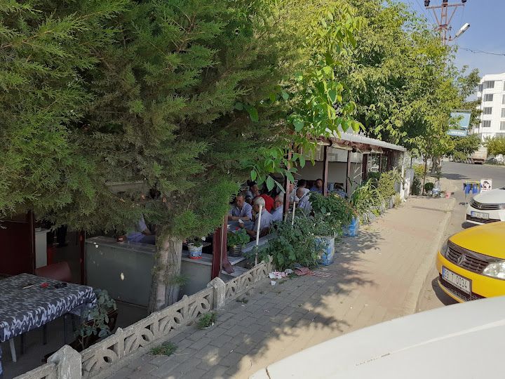Sapar Cafe