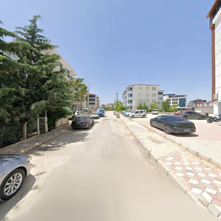 Fotoğraf 10