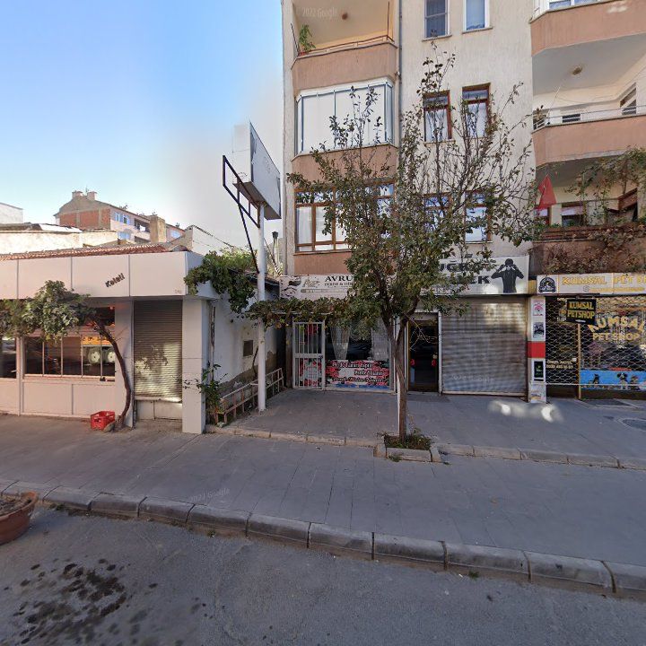Fotoğraf 5