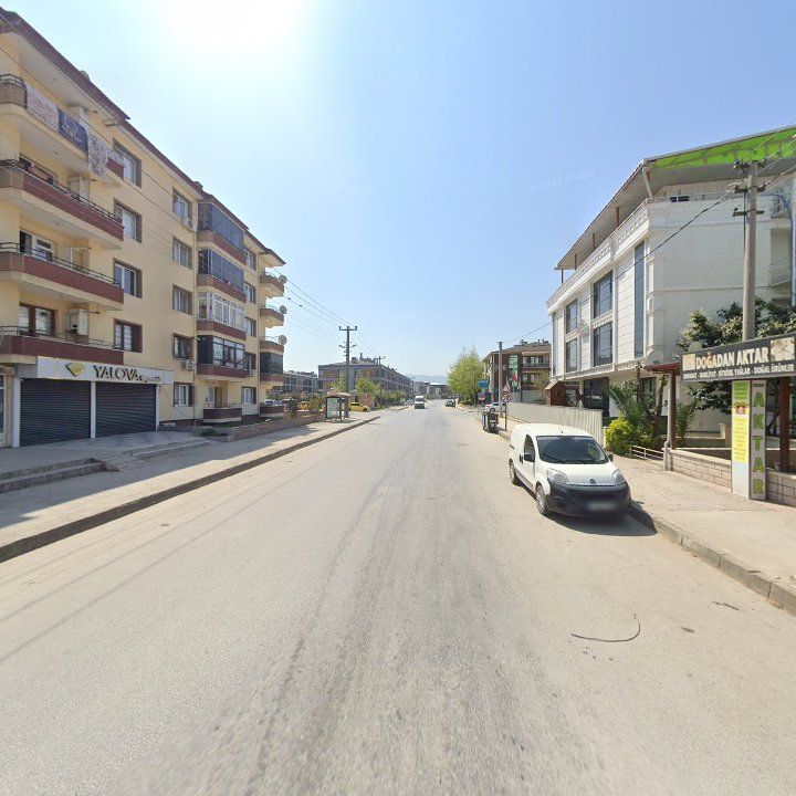 Fotoğraf 10
