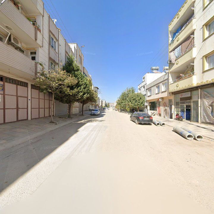 Fotoğraf 5