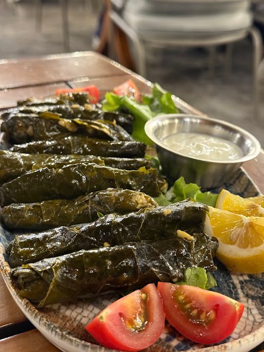 Fotoğraf 12
