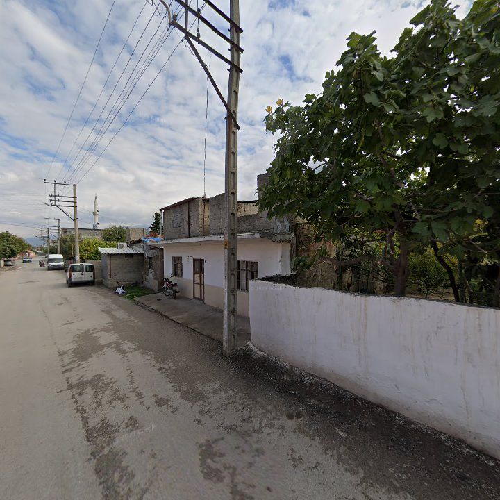 Fotoğraf 4