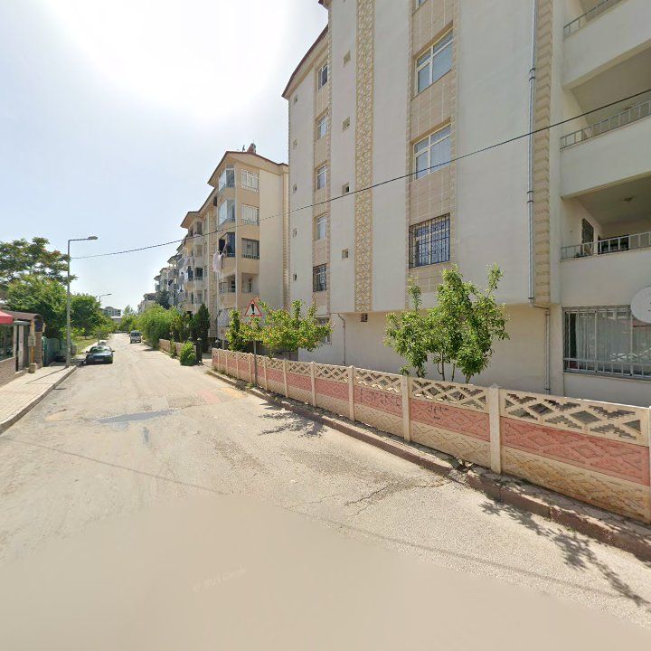 Fotoğraf 10