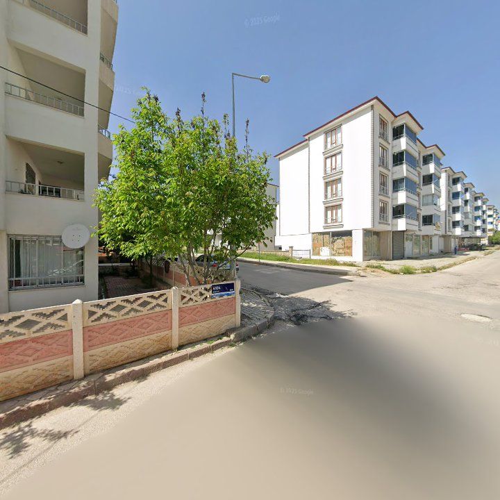 Fotoğraf 11