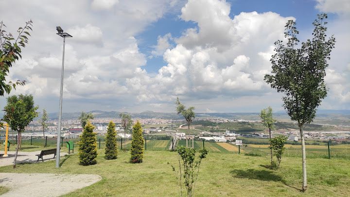 Seyir Kafe Kahvaltı