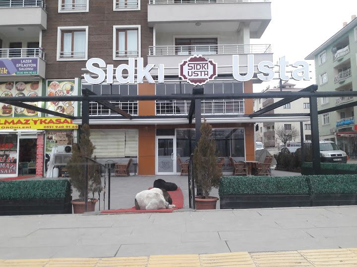 Sıdkı Usta