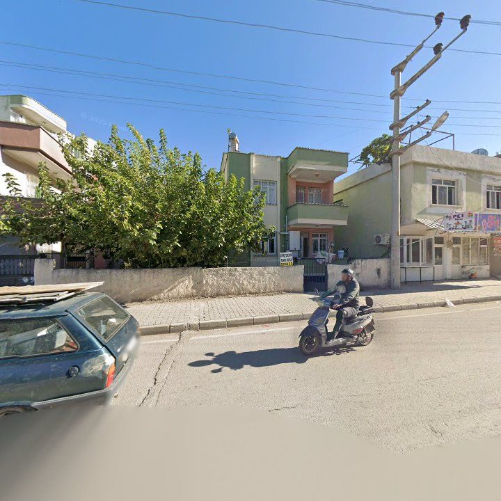 Fotoğraf 7