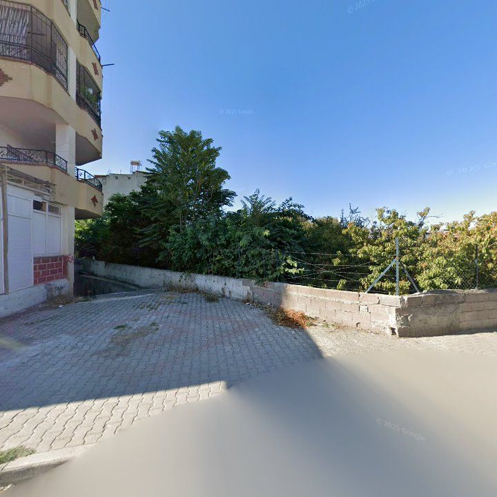 Fotoğraf 9