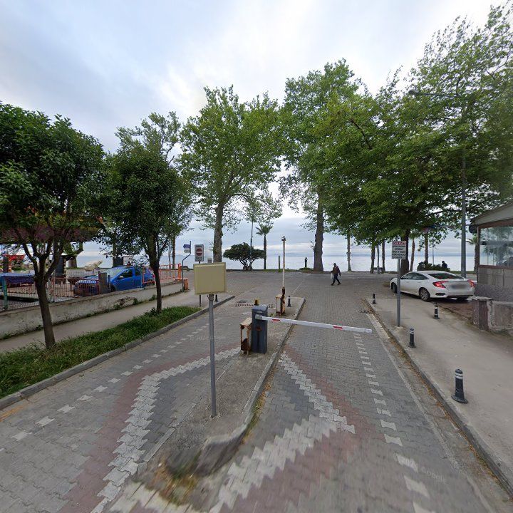Fotoğraf 9