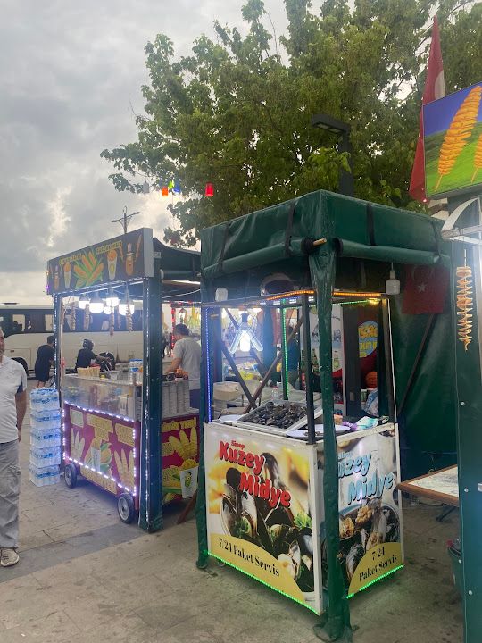 Sinop Kuzey Midye