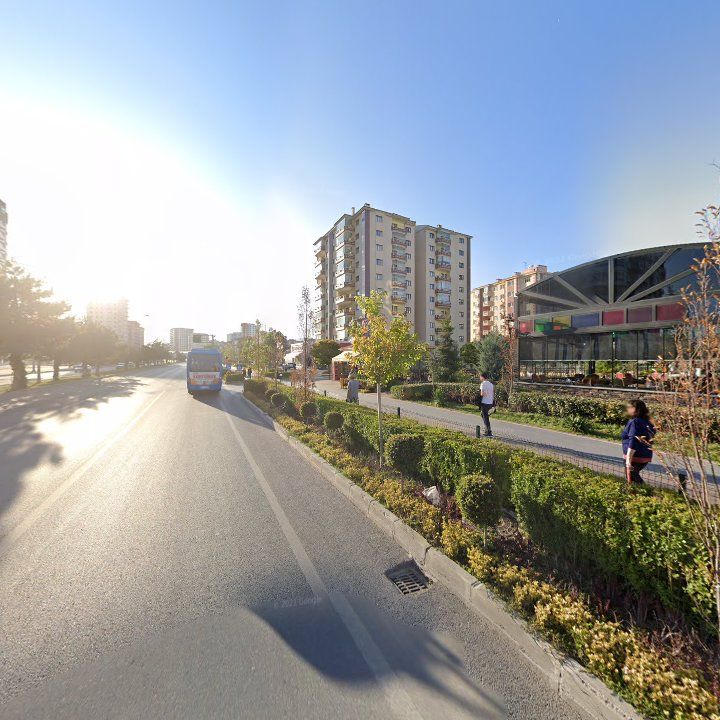 Fotoğraf 11