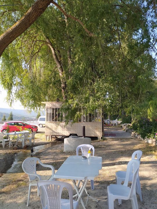 SöğütGölgesi cafe